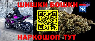 индика Мариинск