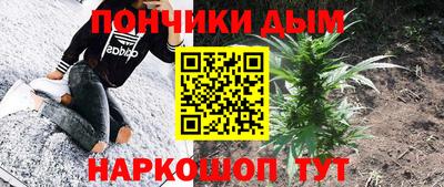 индика Мариинск