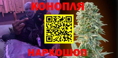 индика Мариинск